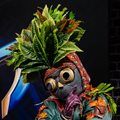 It's finally here: The Masked Singer South Africa!